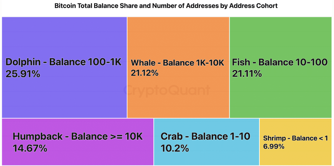 Is Bitcoin on the Brink? The Hidden Supply Crisis Signaling a Steep Slide Before the Next Bull Run