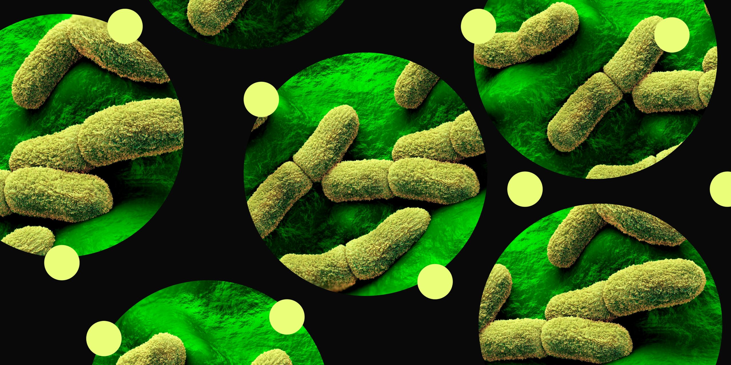 Is This Arizona Plague Case a Rare Health Crisis or the Next Big Fitness Threat You Need to Know About?