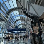 O'Hare Flight Cuts Spark Airport Turf War—What This Means for Your Next Trip and Why Airlines Are Fighting Back