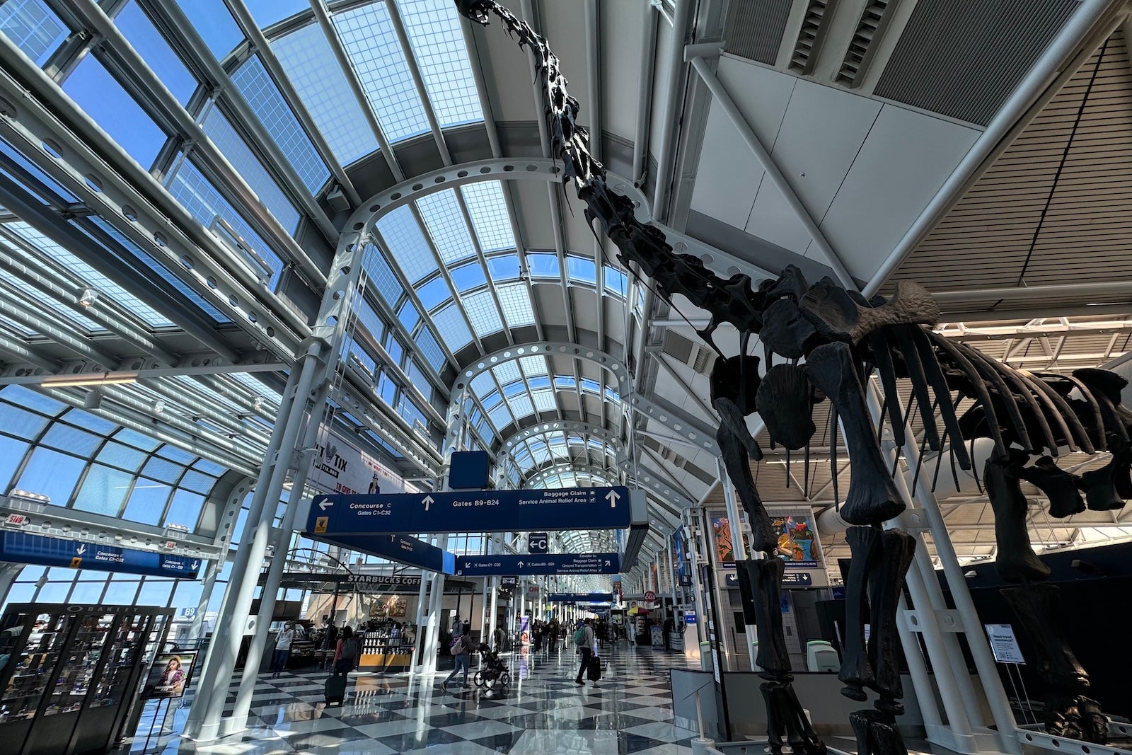 O'Hare Flight Cuts Spark Airport Turf War—What This Means for Your Next Trip and Why Airlines Are Fighting Back