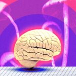 Psychedelics Going Mainstream: The Hidden Health Revolution or Risk You’ve Never Considered?