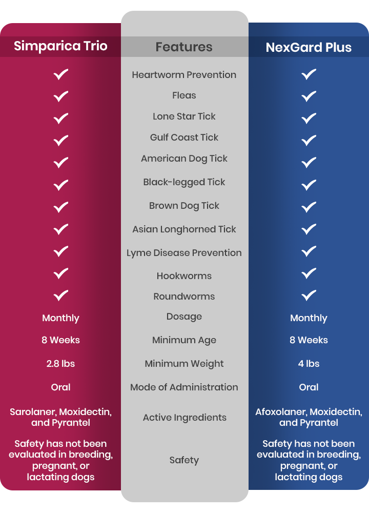 The Hidden Battle: Why Your Dog’s Next Parasite Protection Could Make or Break Their Health