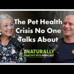 The Pet Health Crisis No One Talks About | NHP Podcast Ep 77 | Dr. Judy Morgan & Olivier Morin