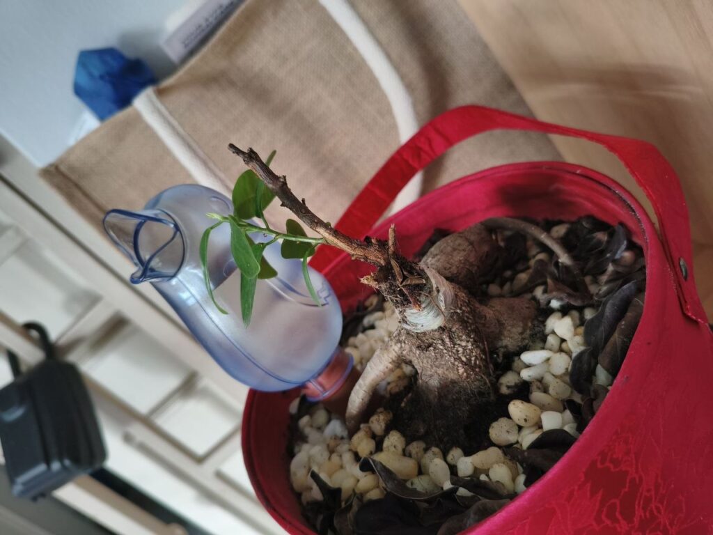 The Shocking Truth About How AI Quietly Took Over My Hustle—and Why It Might Do the Same to Yours