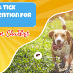 The Summer Flea & Tick Threat Lurking in Your Backyard — Are You Truly Ready to Protect Your Dog?