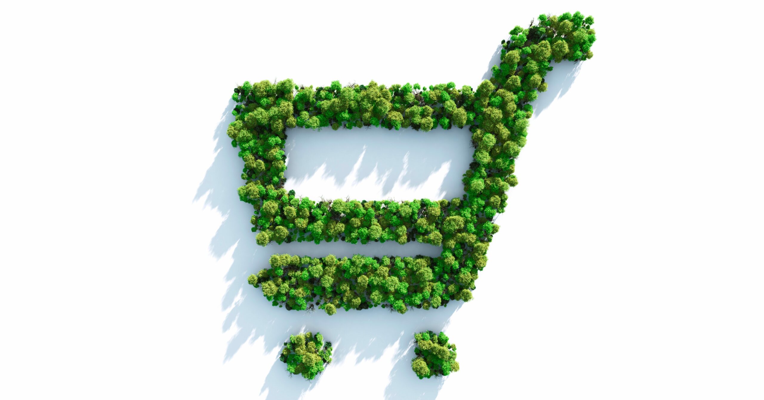 This One Houseplant Is Literally Wiping Out 90% of Toxins in Your Air – You Won’t Believe Which It Is!