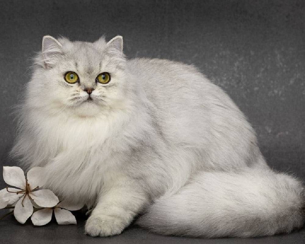 Uncover the Hidden Secrets of Florence That Even Locals Don’t Know—And Why Your Next Adventure Depends on Them!