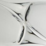 Unlock the Secret to Stronger Bones: Can You Really Measure Your Bone Density at Home?