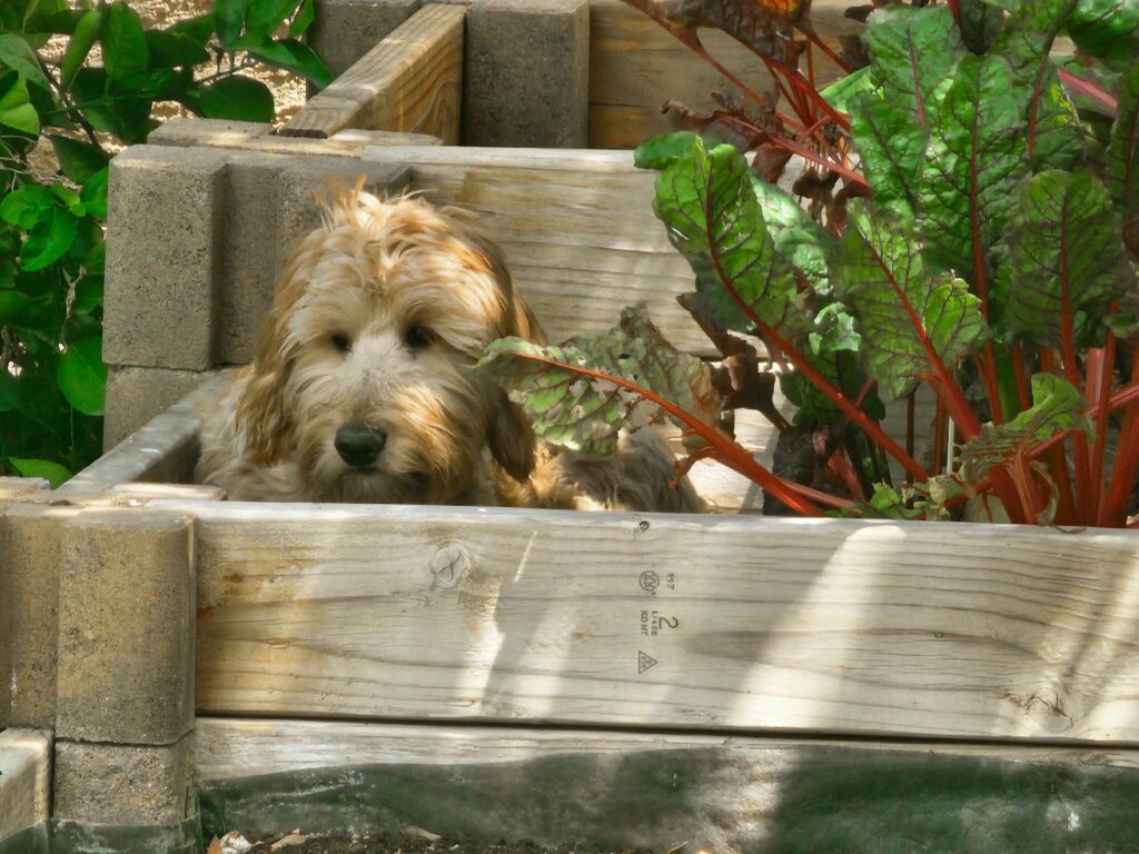 Unlock the Secrets Behind This Friday’s Top 4.24 Fitness Trends That Everyone’s Buzzing About!