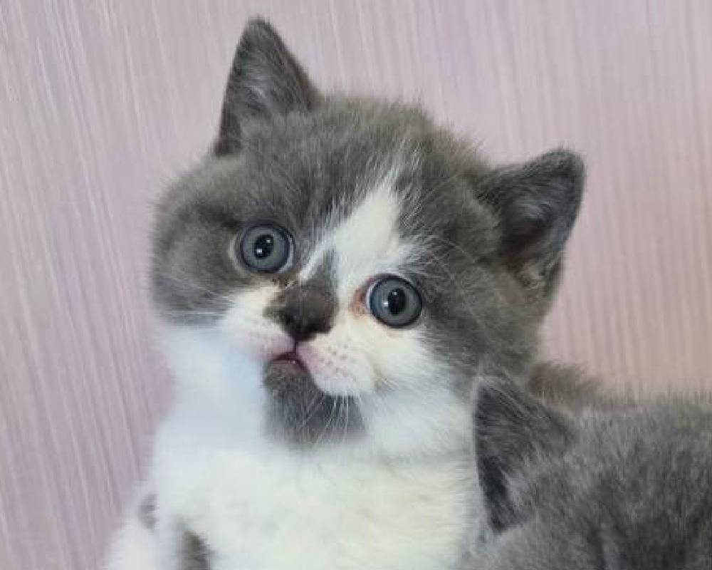 Unlocking Exel: The Surprising Secret Behind Its Skyrocketing Success You Never Saw Coming