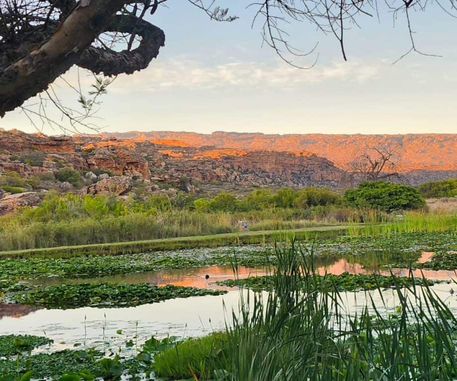 Unlocking the Mysteries of Bushman’s Kloof: Ancient African Rock Art That Defies Time and Ignites Curiosity