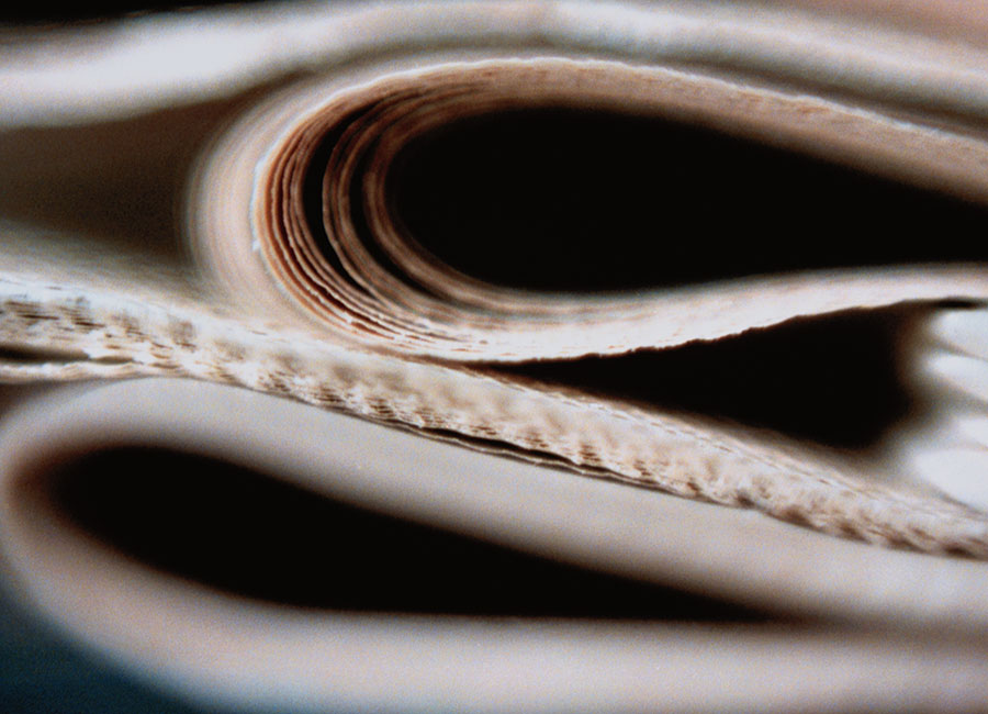 Why Webprint’s Bold Move to Acquire Kerry’s Eye Could Change the Media Game Forever