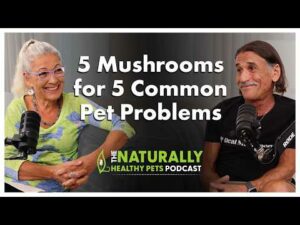 5 Mushrooms for 5 Common Pet Problems | NHP Podcast Ep 80 | Dr. Judy Morgan & Dr. Rob Silver