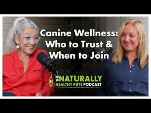 Canine Wellness: Who to Trust & When to Join | NHP Podcast Ep 79 | Dr. Judy Morgan & Dr Lynda Loudon
