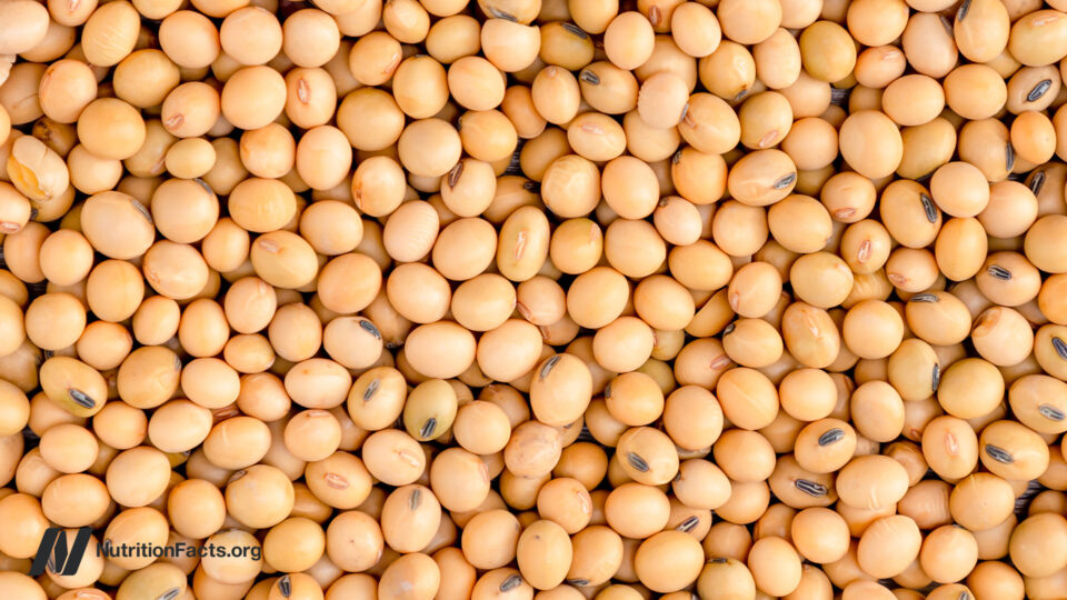 Could Cutting Protein Be the Secret Trigger Your Body Needs to Unlock Longevity Through FGF21?