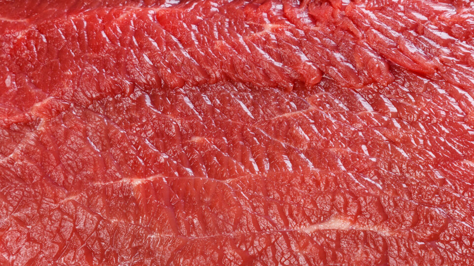 Could Hidden Viruses in Your Meat and Dairy Be the Silent Trigger Behind Breast Cancer?