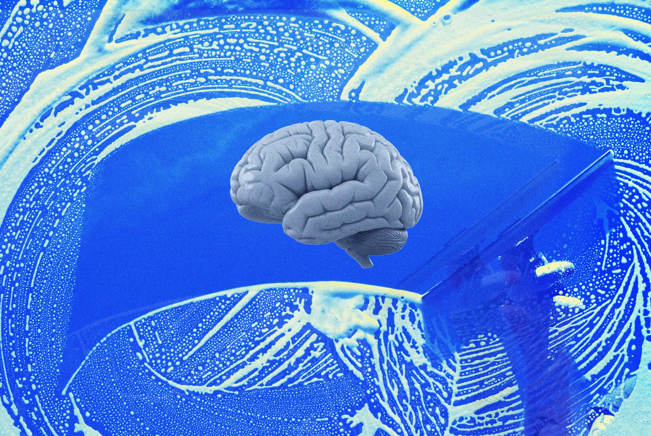 Could Yawning Be Your Brain’s Secret Detox Hack? Here’s What New Science Reveals!