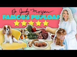 Dr. Judy Morgan's Famous Puploaf
