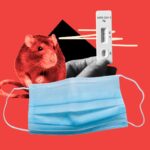 Hantavirus vs. COVID-19: The Deadly Differences and Shocking Similarities You Can’t Afford to Ignore!