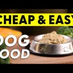 How To Make: The Most BASIC Chicken Recipe for DOGS