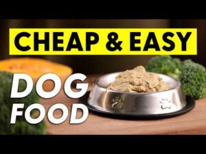 How To Make: The Most BASIC Chicken Recipe for DOGS