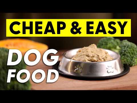 How To Make: The Most BASIC Chicken Recipe for DOGS