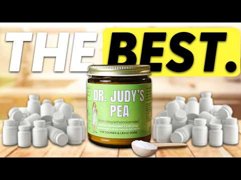 PEA for Pets? Benefits, Safety, & How It Works