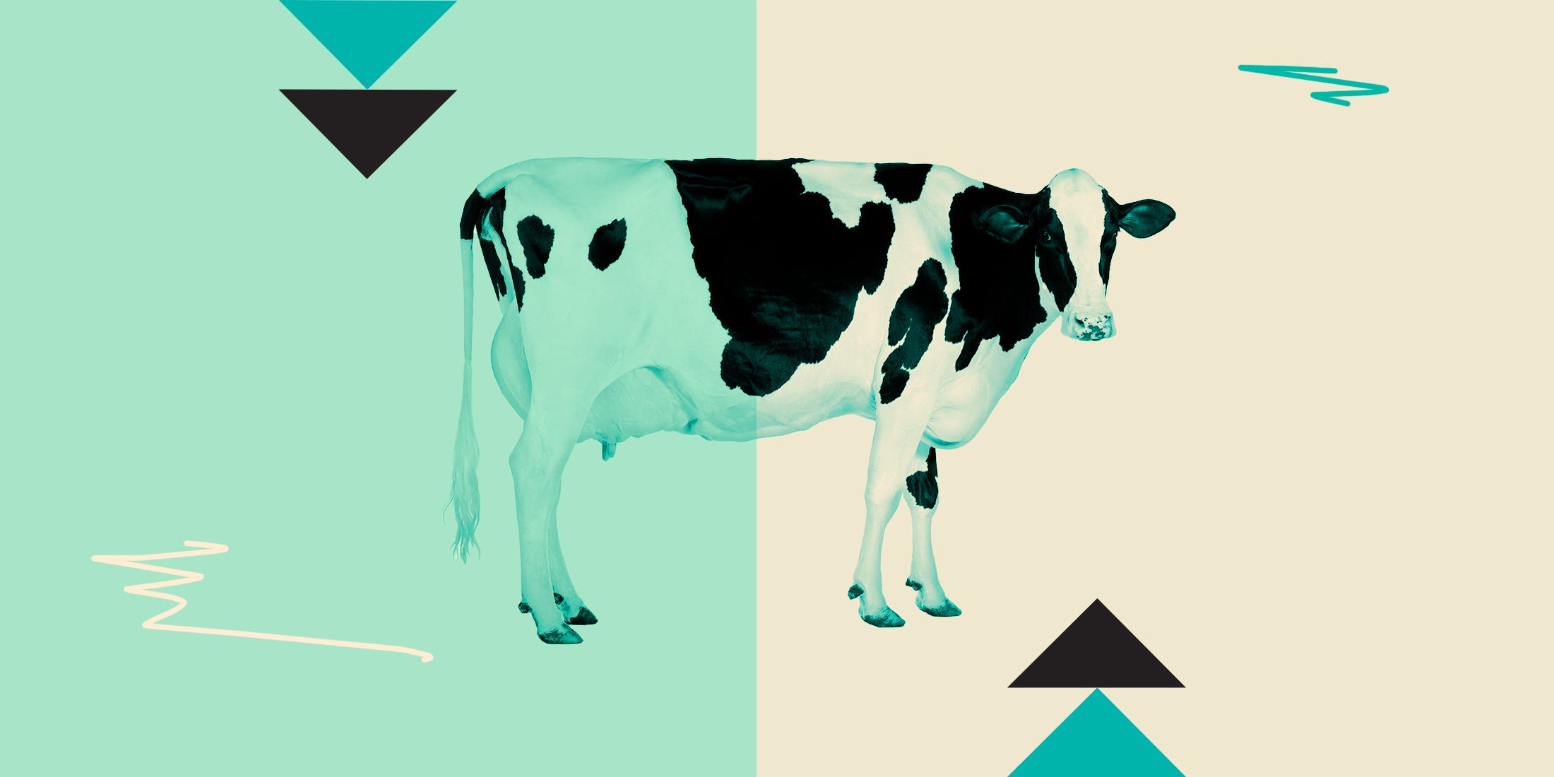 Raw Milk Resurgence: The Controversial Health Trend That’s Shaking Up Nutrition Circles—What You Absolutely Must Know Now