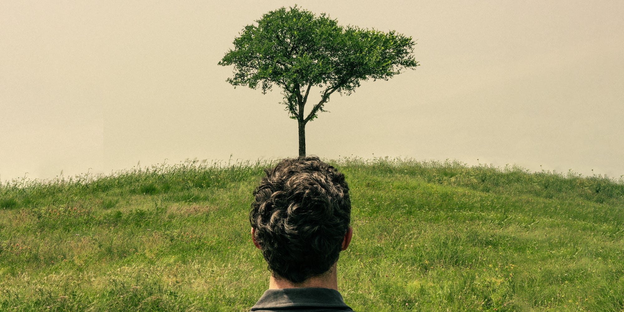 Unlock Nature’s Secret Hack: The Surprising Time Rule That Melts Stress Faster Than Anything You’ve Tried!