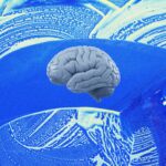 Unlock the Hidden Power of Yawning: How This Simple Habit Could Be Detoxing Your Brain Like a Pro Champion!