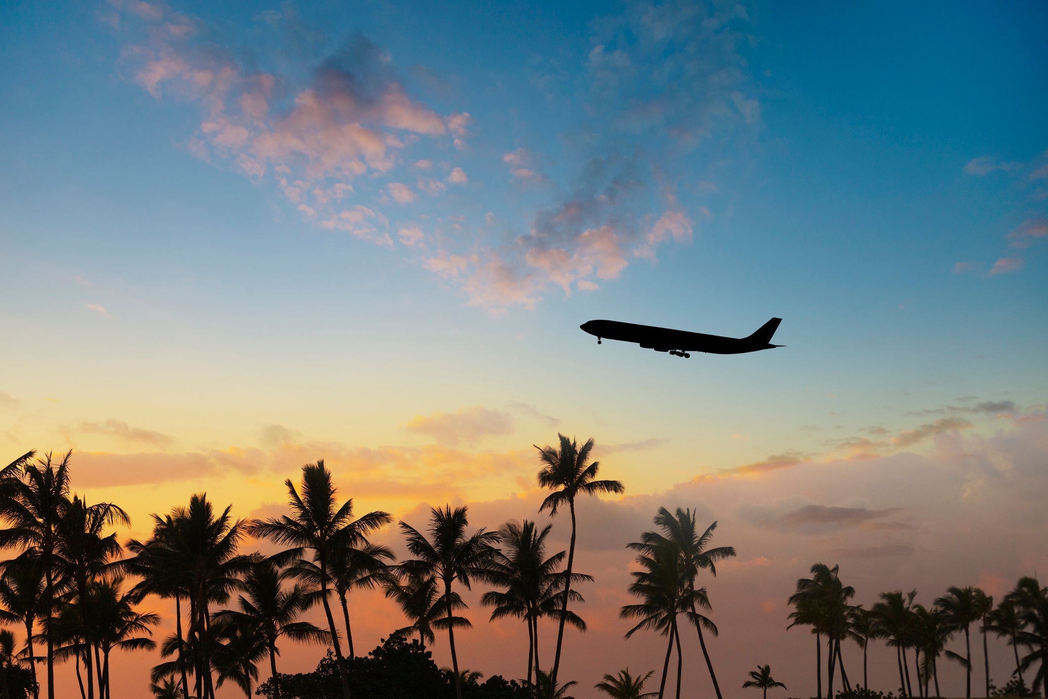 Which Airline Card Delivers Real Rewards or Just Sky-High Hopes?