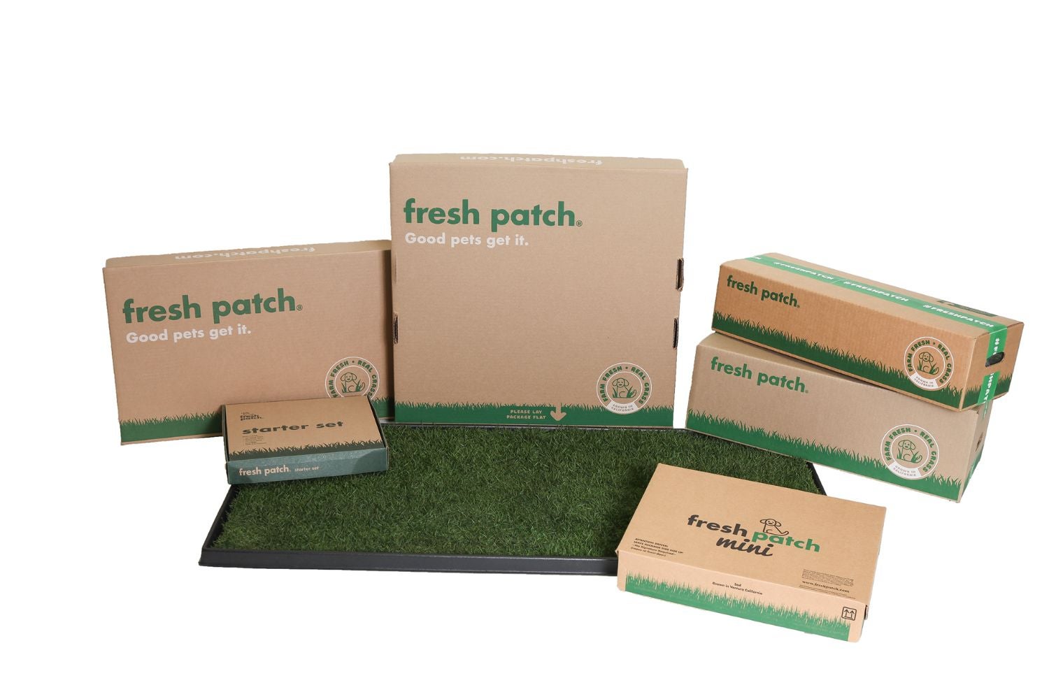 Why Fresh Patch Could Be the Game-Changer Every Pet Owner Has Been Waiting For—And Nobody’s Talking About