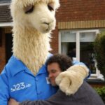 123.ie’s ‘No Drama Llama’ Campaign: The Bold Move That Could Redefine Its Game Ahead of a Major Milestone