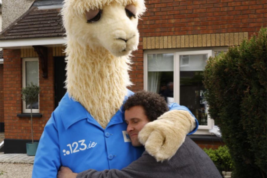 123.ie’s ‘No Drama Llama’ Campaign: The Bold Move That Could Redefine Its Game Ahead of a Major Milestone