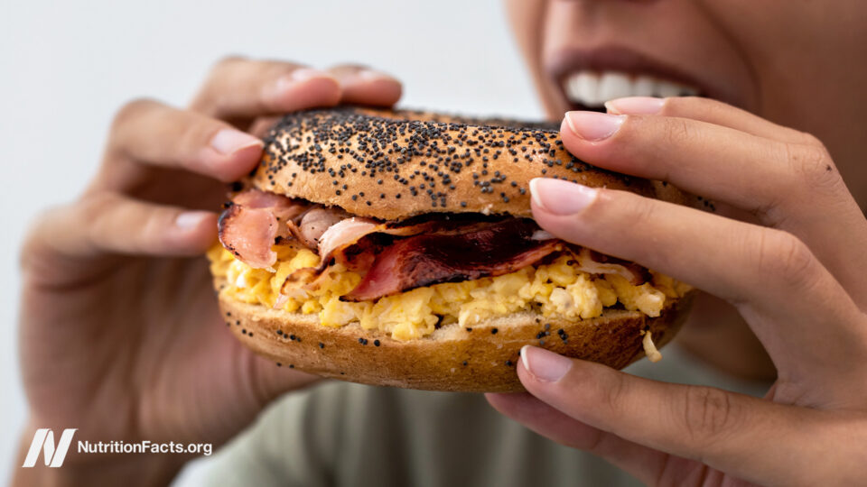 Are Ultra-Processed Foods Salvageable, or Are We Chasing a Dangerous Nutrient Fix?