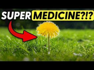 Herbalist Greg Tilford Shares His Top Herbs for Pets