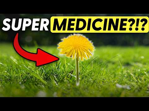 Herbalist Greg Tilford Shares His Top Herbs for Pets
