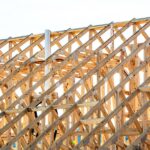 How Coillte’s Bold Timber Strategy Could Flip Ireland’s Construction Game Overnight—Are You Ready to Cash In?