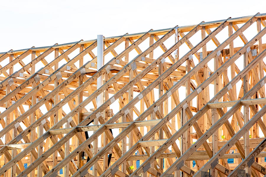 How Coillte’s Bold Timber Strategy Could Flip Ireland’s Construction Game Overnight—Are You Ready to Cash In?