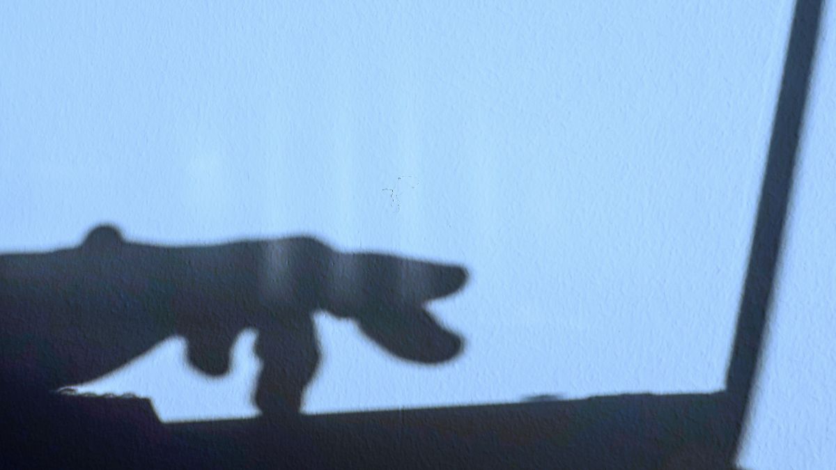 Is the SEC Cracking Down on the AI Shadow Market? What Every Investor Needs to Know Now