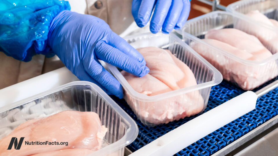 Is Your Favorite Processed Meat Silently Raising Your Cancer Risk? The Truth Might Shock You.