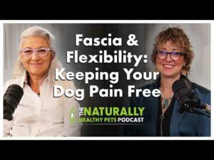 Keeping Your Dog Pain-Free | NHP podcast ep 82 | Dr. Judy Morgan & Dr. Laurie McCauley