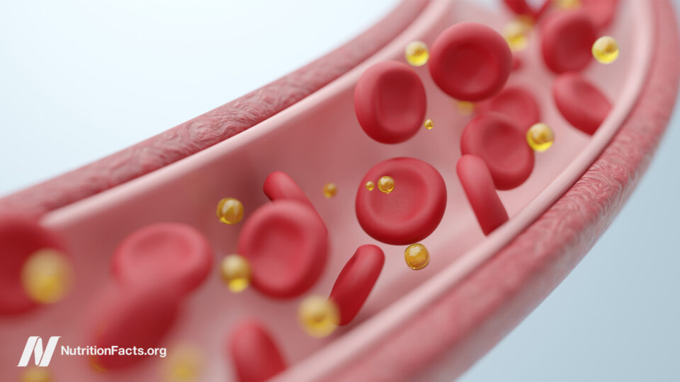 The Shocking Truth: This One Common Meal May Be Silently Destroying Your Arteries and Lungs—Are You Eating It Today?