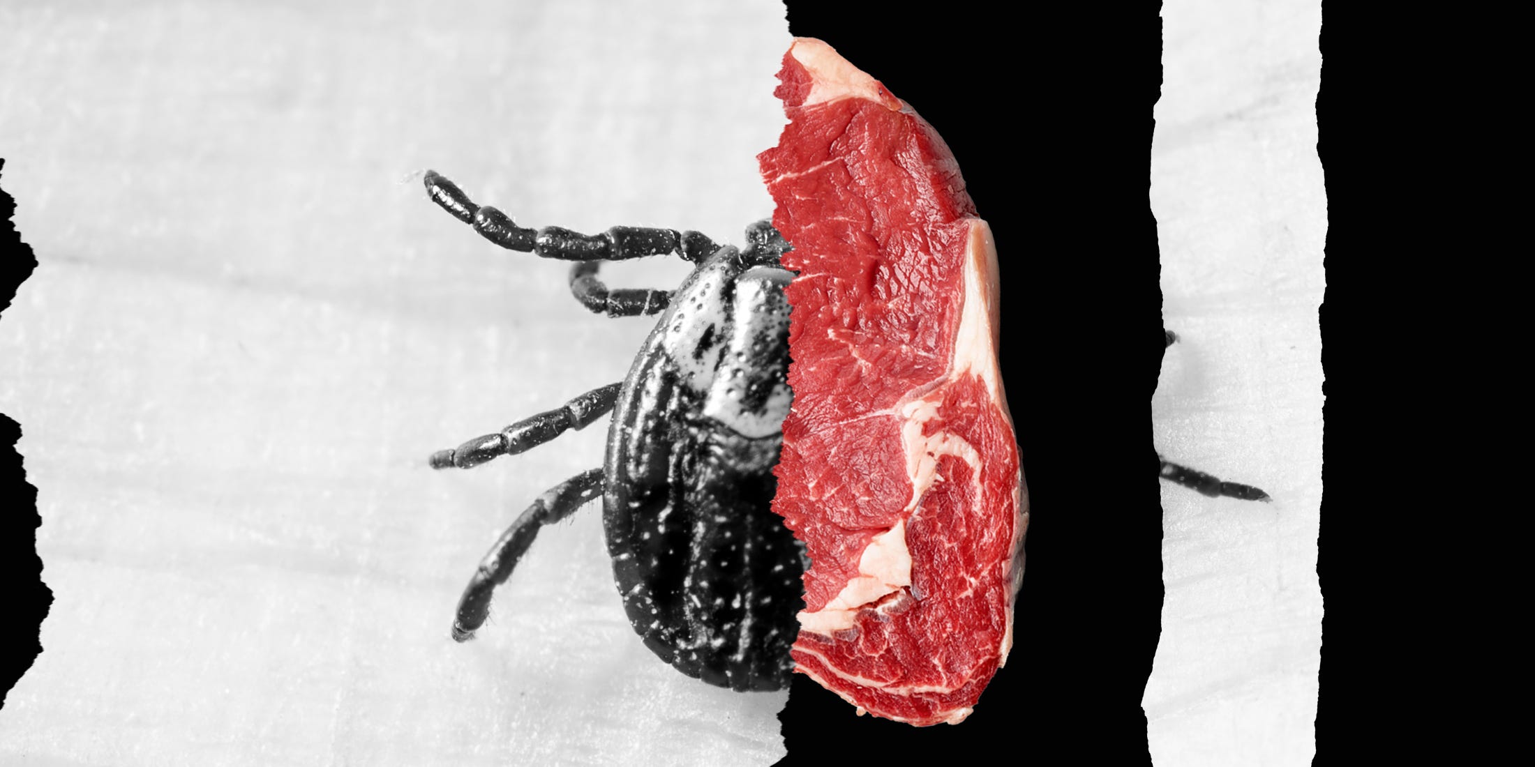 This Tiny Tick Bite Could Wreck Your Diet Forever—Are You at Risk Without Knowing It?