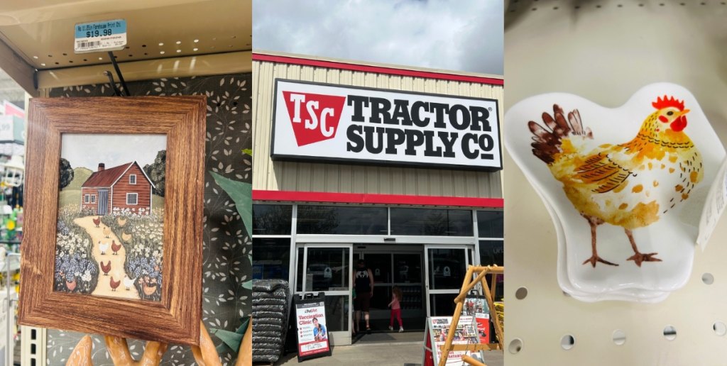 Uncover Tractor Supply’s Hidden Farmhouse Decor Gems Under $20 That’ll Transform Your Space Instantly!