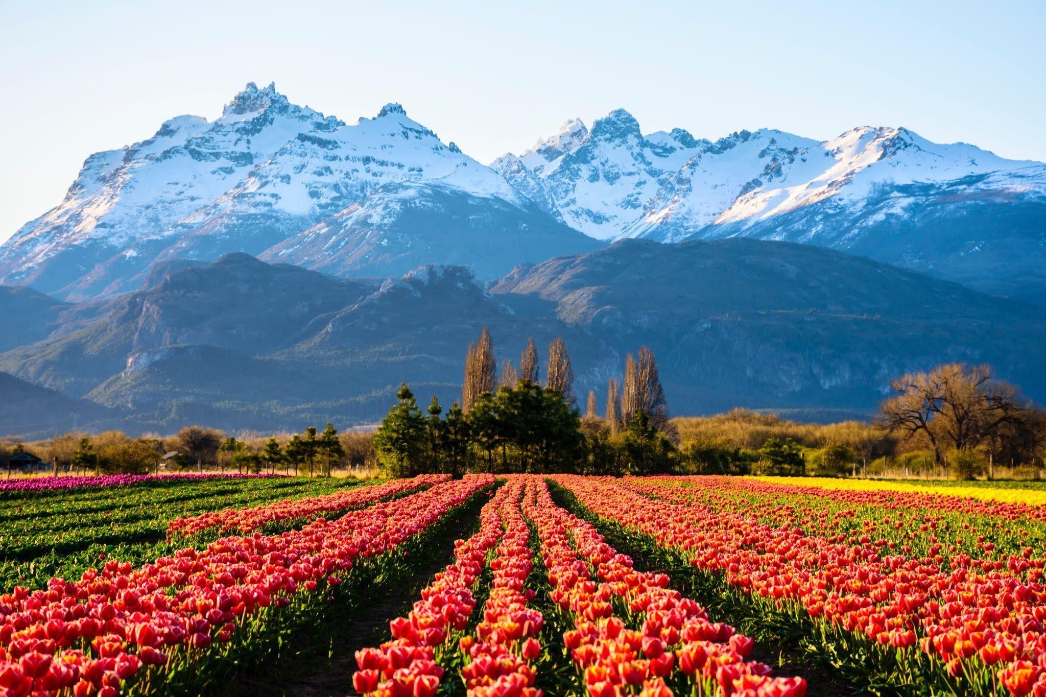 Unlock Argentina’s Ultimate Seasonal Secrets: When Wine, Football, Festivals & Luxury Align Perfectly!
