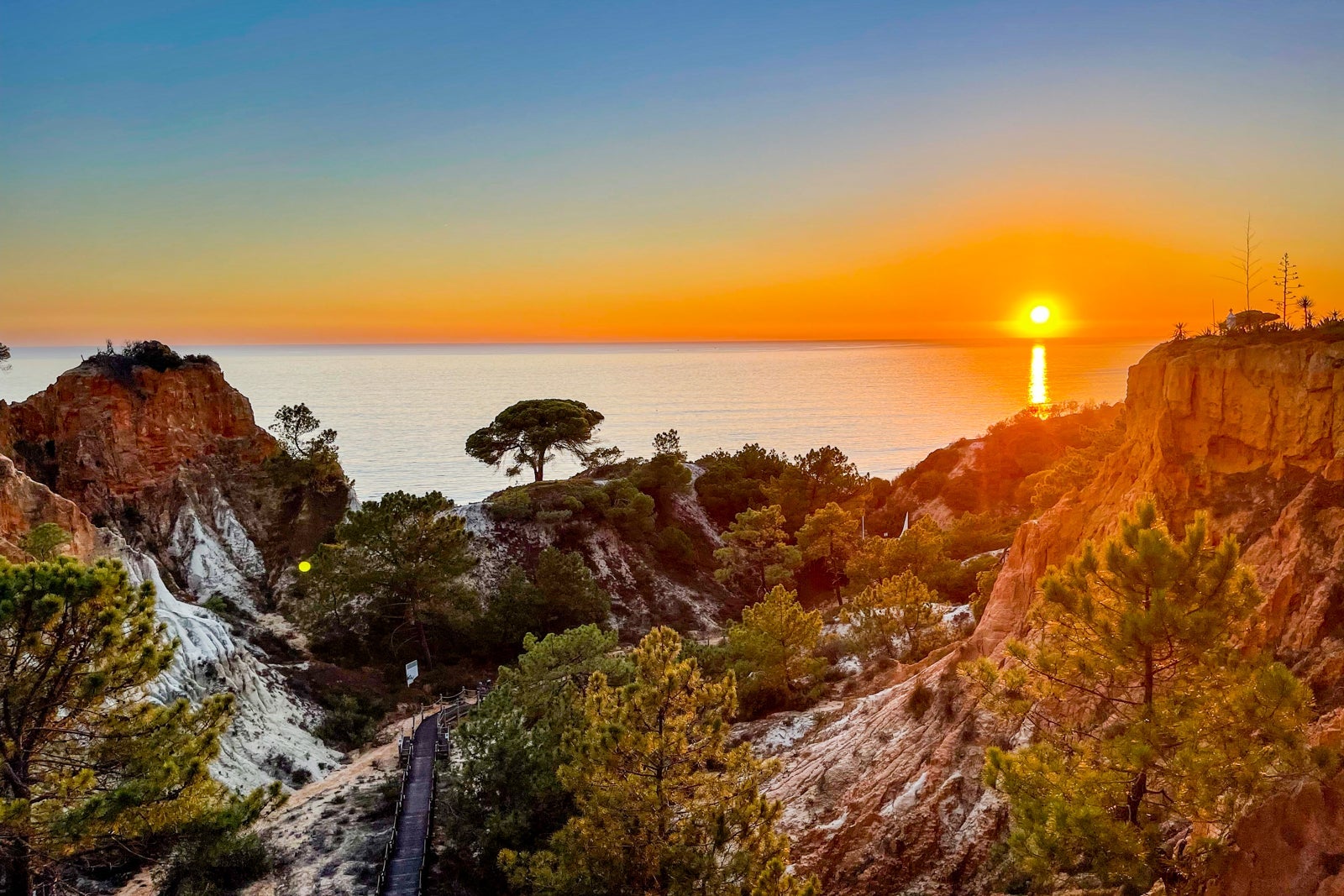 Unlock Silver Elite Status Without Paying a Dime—Is Marriott’s Bold Credit Card the Hidden Gem You’ve Been Missing?