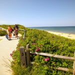 Unlock the Hidden Coastal Hotel Gems Where Wellness Meets Waves – Your Ultimate Seaside Escape Awaits!