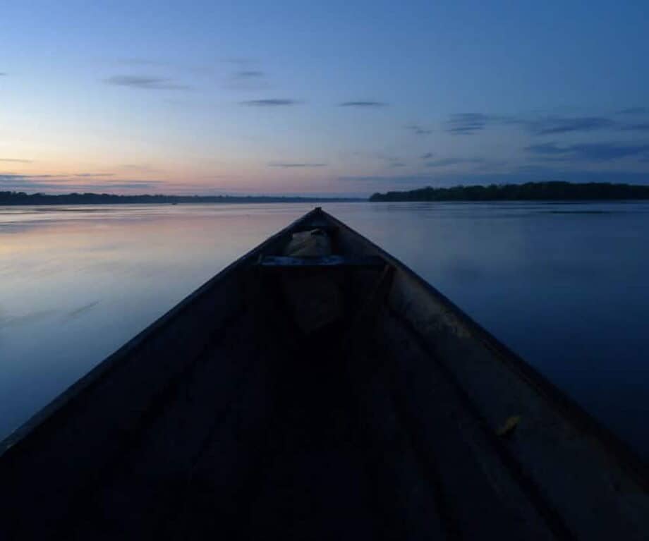 Unlock the Hidden Heart of the Amazon: Why Ecuador’s Yasuní National Park Is the Adventure You Didn’t Know You Needed