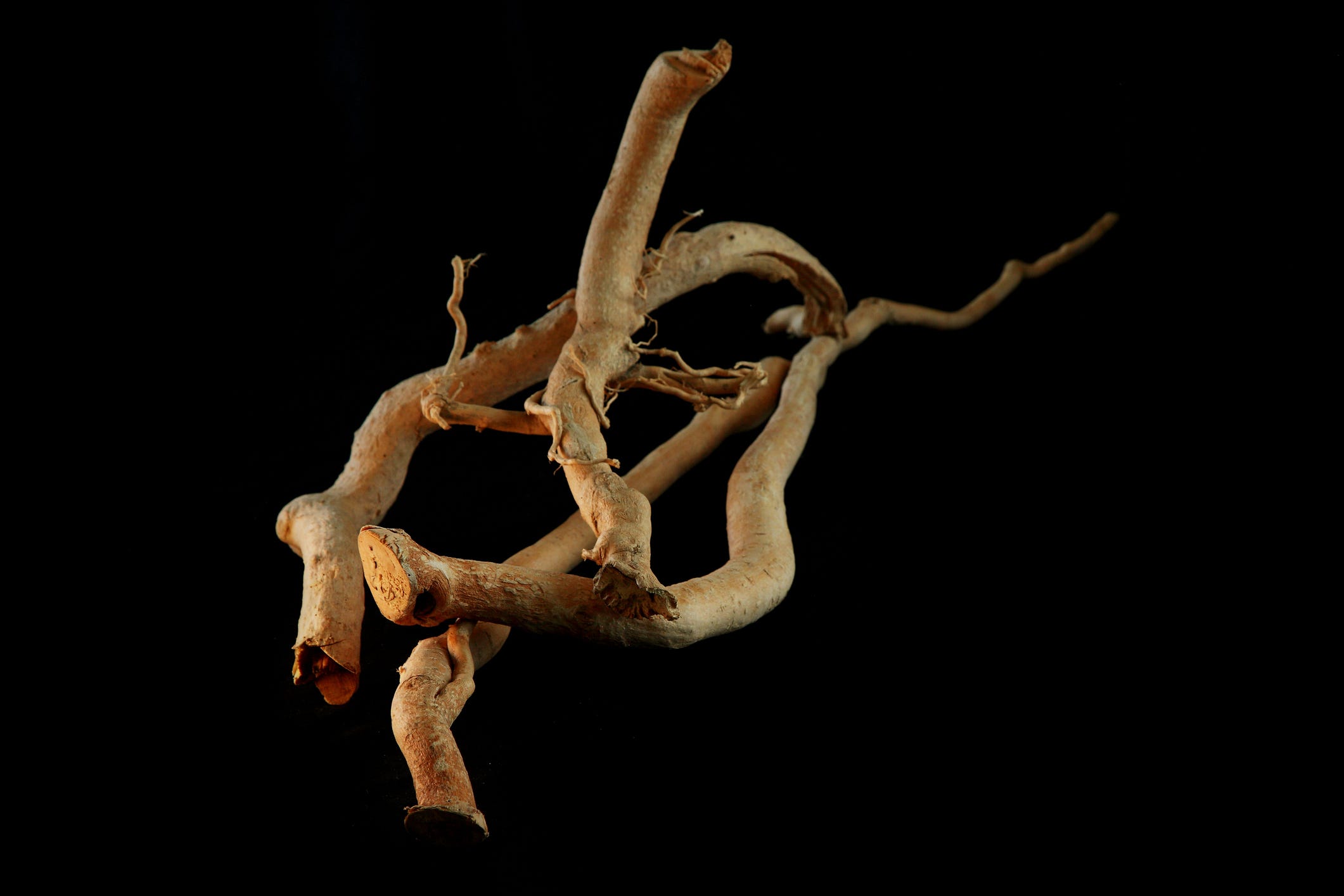 Unlock the Secret Ancient Root That’s Taking Testosterone Boosting to a Whole New Level—And Why Everyone’s Talking About It!